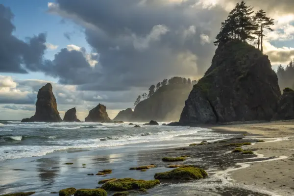 Sea stacks and reflective sands at Shi Shi Beach, Washington.